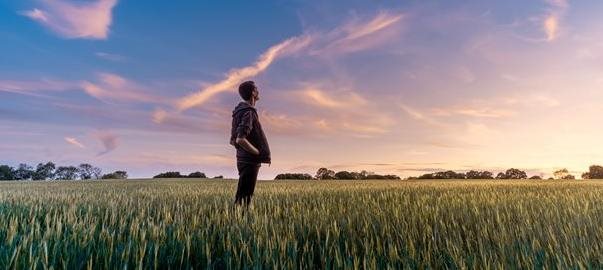 A man in a field looking into the blue sky A man in a field looking into the blue sky